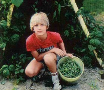 Children's Corner: Sandbox Garden and Swing Set Bean House Image